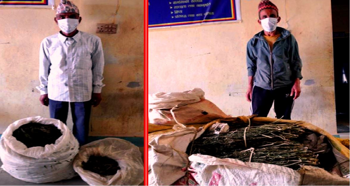 उदयपुरमा पक्राउ परेका शाही र सेनामाथि अनुसन्धान हुँदै