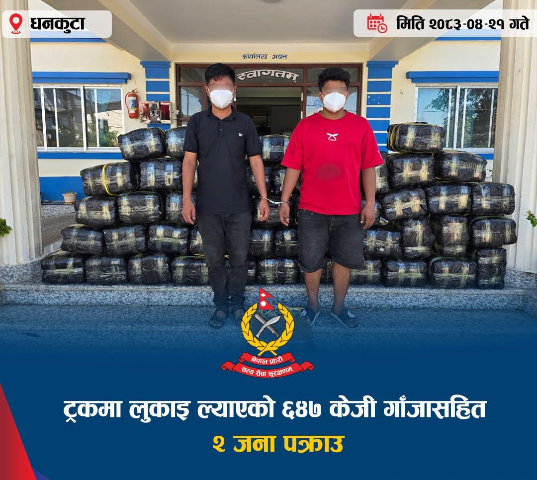 भेडेटारमा ट्रकबाट ६४७ किलो गाँजा बरामद, चालक–सहचालक नियन्त्रणमा