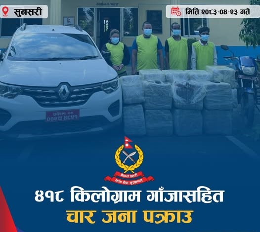 सुनसरीमा ४१८ किलो गाँजासहित चार जना पक्राउ